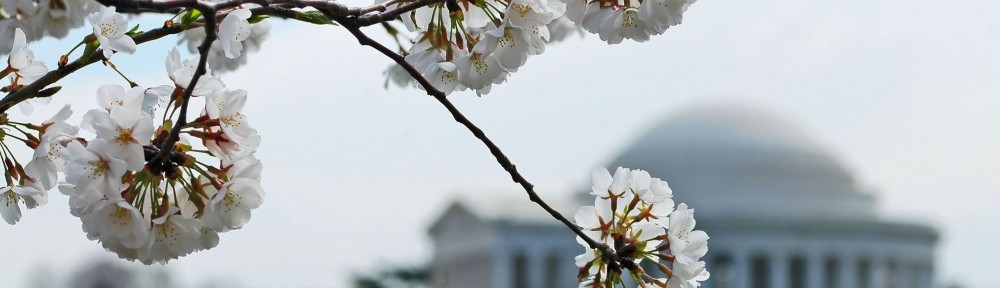 Robin Elizabeth Herr