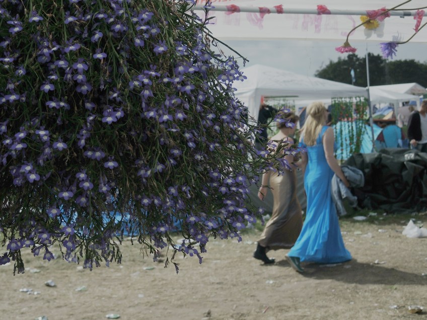 Flowers everywhere. Photo by Robin Elizabeth Herr